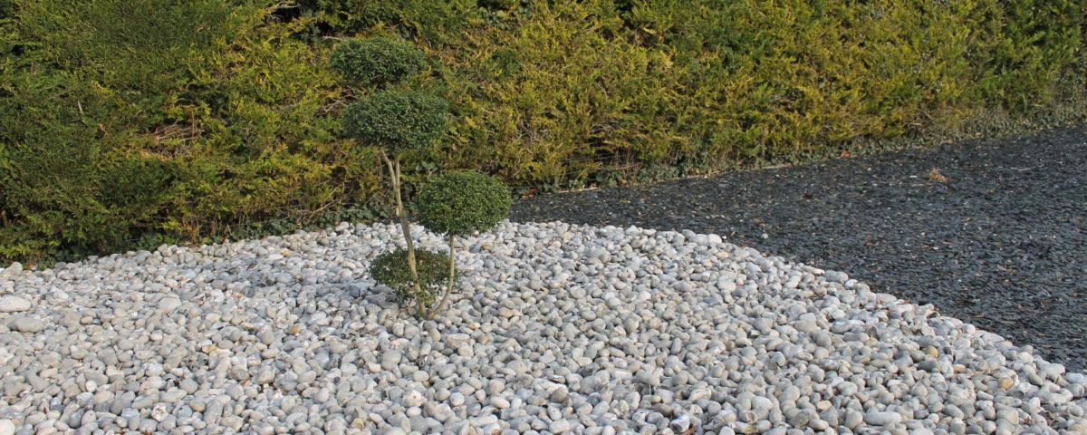 Photo création de plantes et pierres couleurs Esnault Paysagiste à Saumur
